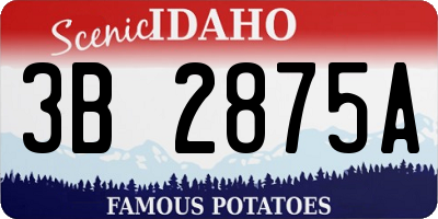 ID license plate 3B2875A