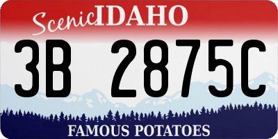 ID license plate 3B2875C