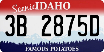 ID license plate 3B2875D