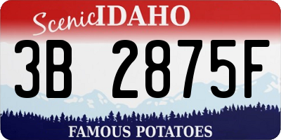 ID license plate 3B2875F