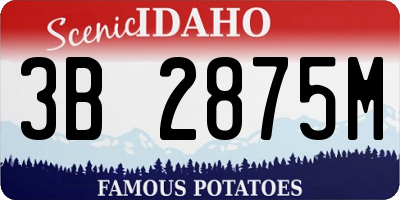 ID license plate 3B2875M