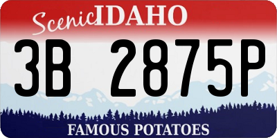ID license plate 3B2875P