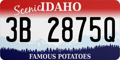 ID license plate 3B2875Q