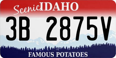 ID license plate 3B2875V