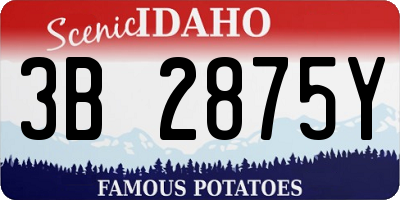 ID license plate 3B2875Y