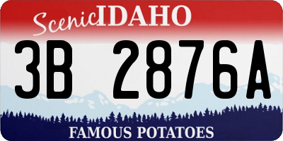 ID license plate 3B2876A