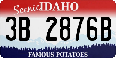 ID license plate 3B2876B