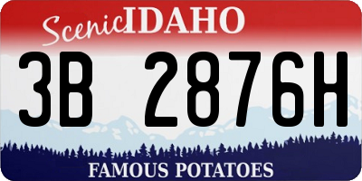 ID license plate 3B2876H