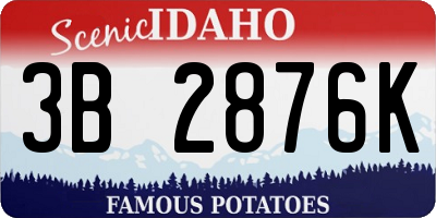 ID license plate 3B2876K