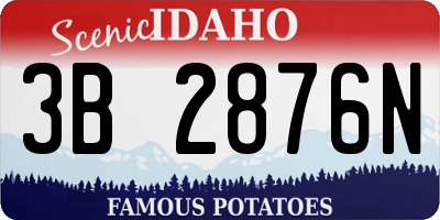 ID license plate 3B2876N