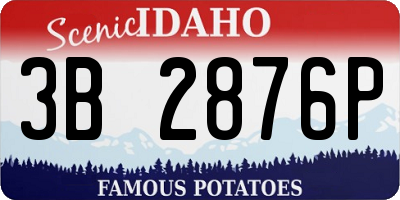 ID license plate 3B2876P