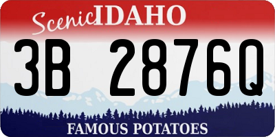 ID license plate 3B2876Q