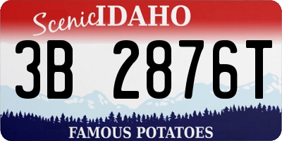 ID license plate 3B2876T