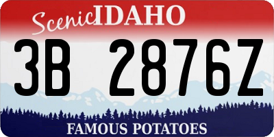 ID license plate 3B2876Z