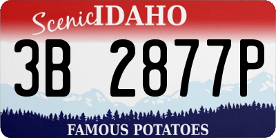 ID license plate 3B2877P