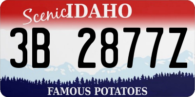 ID license plate 3B2877Z