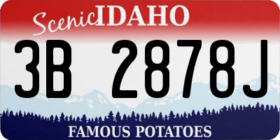 ID license plate 3B2878J