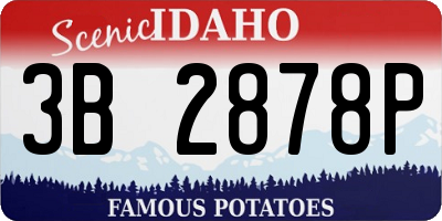 ID license plate 3B2878P