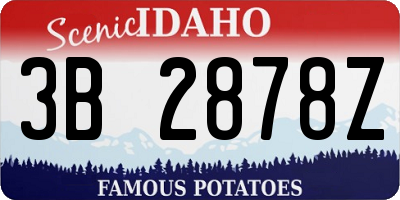 ID license plate 3B2878Z