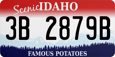 ID license plate 3B2879B