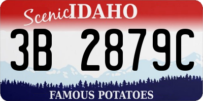 ID license plate 3B2879C