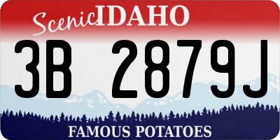 ID license plate 3B2879J