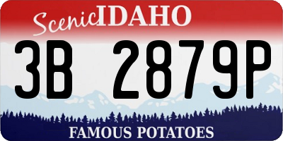 ID license plate 3B2879P