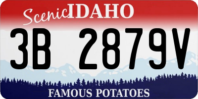 ID license plate 3B2879V
