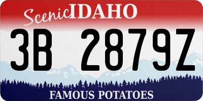 ID license plate 3B2879Z