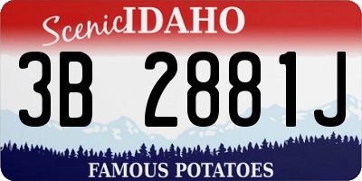 ID license plate 3B2881J