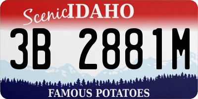 ID license plate 3B2881M