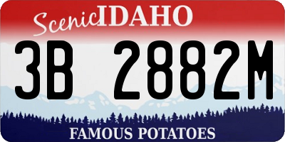 ID license plate 3B2882M