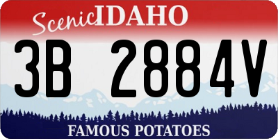 ID license plate 3B2884V
