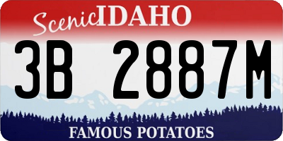 ID license plate 3B2887M