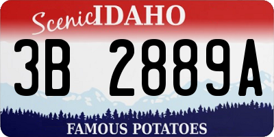 ID license plate 3B2889A