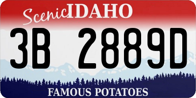 ID license plate 3B2889D