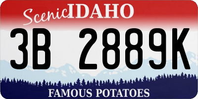 ID license plate 3B2889K