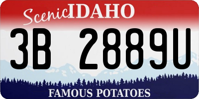 ID license plate 3B2889U