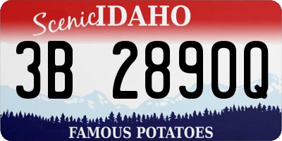ID license plate 3B2890Q