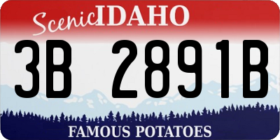 ID license plate 3B2891B