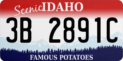 ID license plate 3B2891C