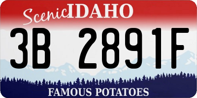 ID license plate 3B2891F