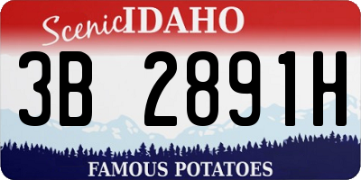 ID license plate 3B2891H