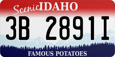 ID license plate 3B2891I
