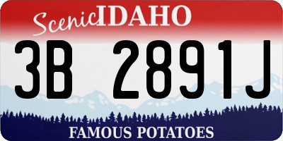 ID license plate 3B2891J