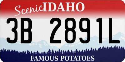 ID license plate 3B2891L
