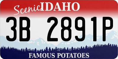 ID license plate 3B2891P