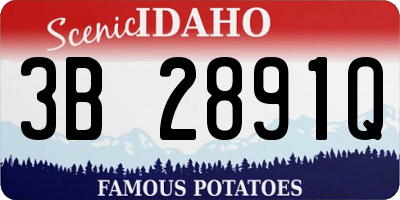 ID license plate 3B2891Q