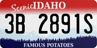 ID license plate 3B2891S