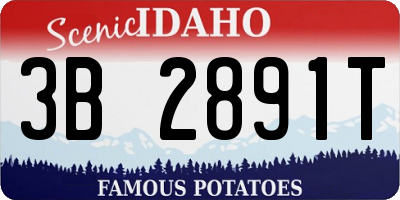 ID license plate 3B2891T